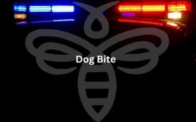 Dog Bite