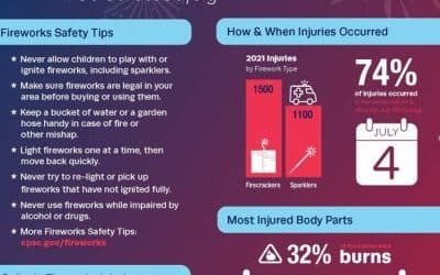 FIREWORKS: LEAVE THEM TO THE EXPERTS!