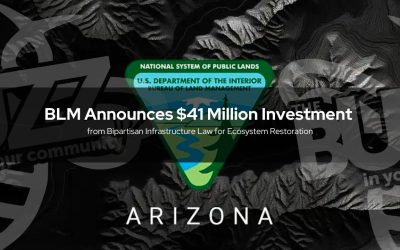 BLM Announces $41 Million Investment from Bipartisan Infrastructure Law for Ecosystem Restoration