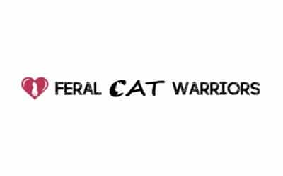 FERAL CAT WARRIORS EARNS A FOUR-STAR RATING FROM CHARITY NAVIGATOR