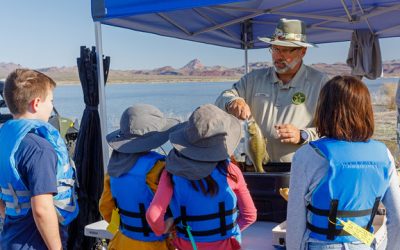 Arizona Family Campout Program Receives  Environmental Excellence Award From Arizona Forward