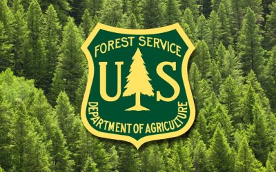$3.7 Million Awarded to Hualapai Mountains Community  of Pine Lake by USDA Forestry Service