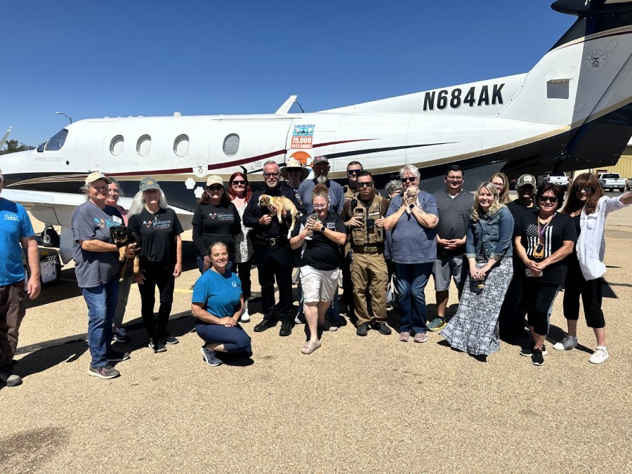 Lifesaving Flight Transports Seventy At Risk Animals From Kingman Arizona To Utah