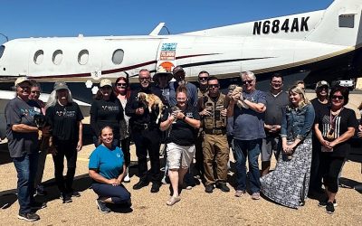 Kingman Animal Services Partners with Wings of Rescue to Relocate Nearly 70 Shelter Pets to Utah