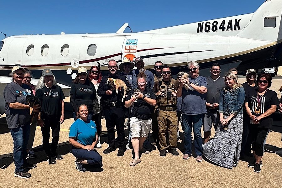 Kingman Animal Services Partners with Wings of Rescue to Relocate Nearly 70 Shelter Pets to Utah